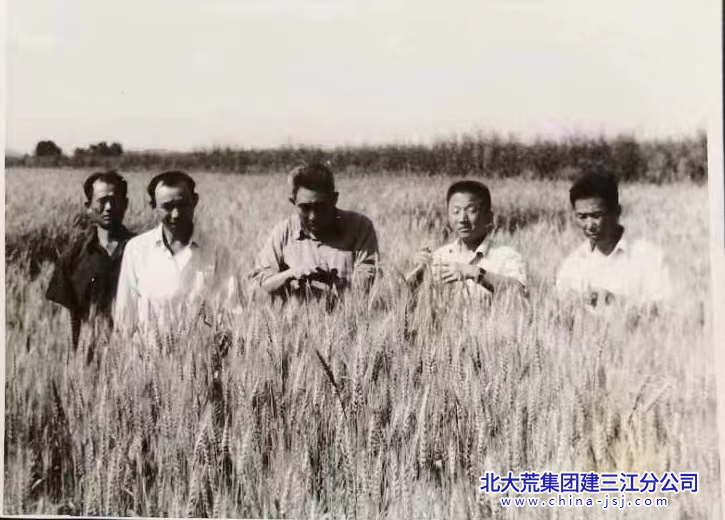 图片22.png
