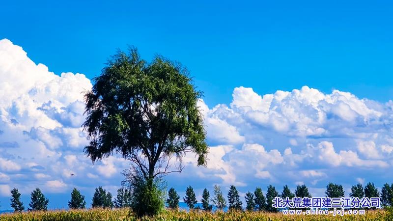 ae69a2f67cd0fbe75dda39fc14ef872f_副本.jpg