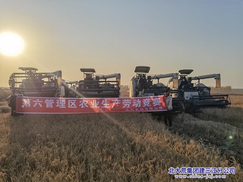 大兴农场有限公司秋收劳动技能竞赛如火如荼进行中