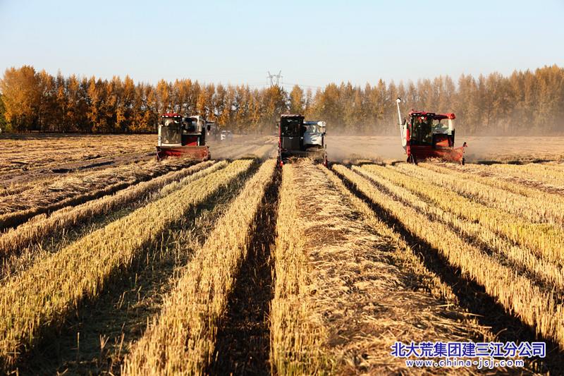 be83003a2f7dbb8e129486dcf8ebe018_副本.jpg