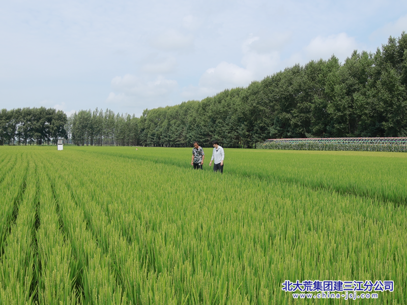 08b05ecd997e2f6afa62d6d3f6be2bb2_副本.png 08b05ecd997e2f6afa62d6d3f6be2bb2_副本.png