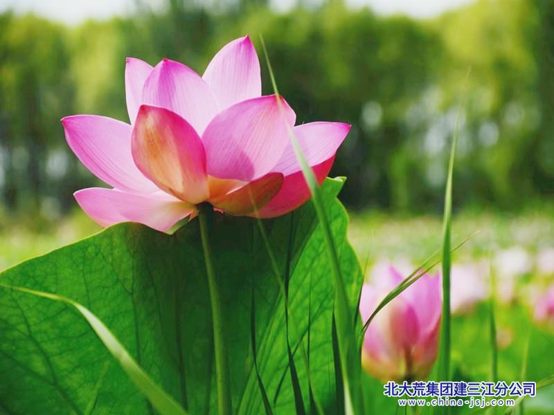 微信图片_0807_副本.jpg