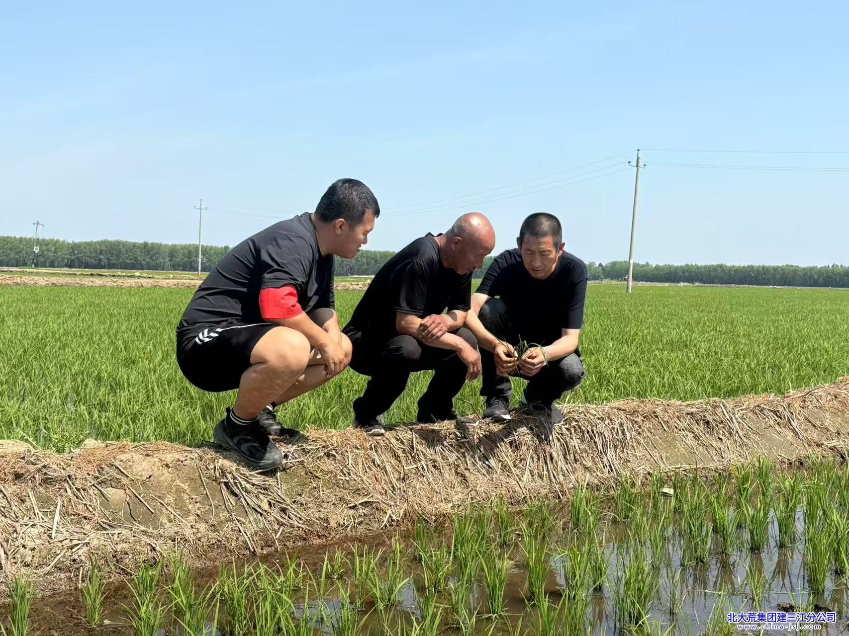 2e182e9d754f8606566689357b7335d.jpg 2e182e9d754f8606566689357b7335d.jpg