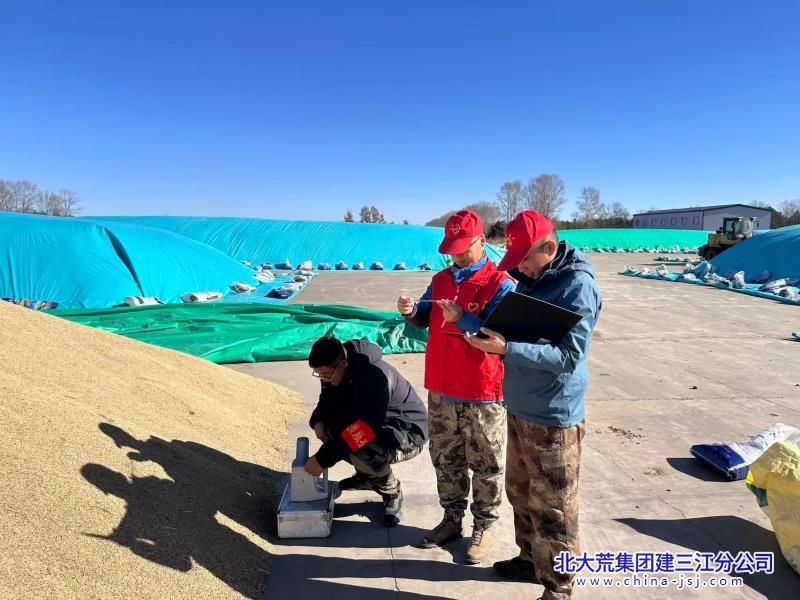 第二管理区党员干部开展粮情检测92_副本.jpg
