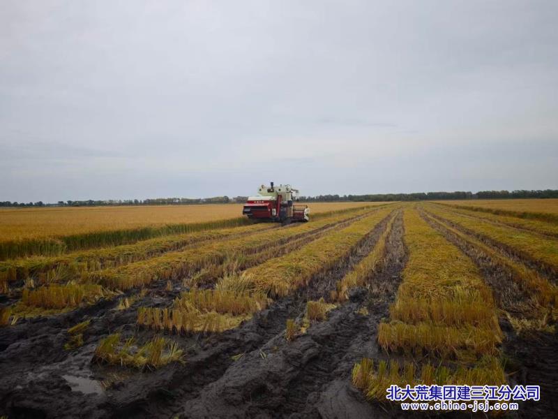 微信图片_20260920101642_5487_75.jpg 微信图片_20260920101642_5487_75.jpg