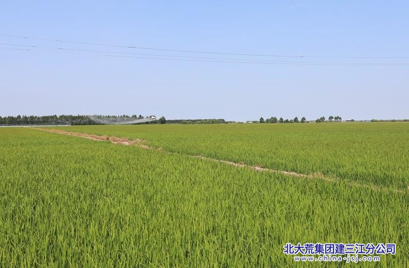 9K5A0933.JPG