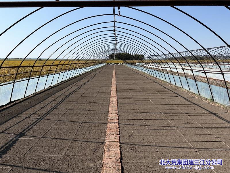 秋摆盘.jpg
