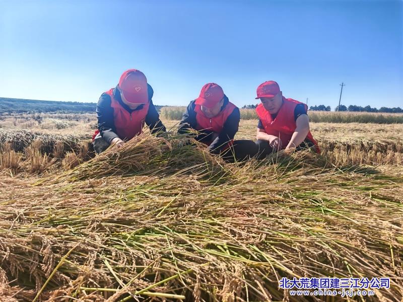 2026八区秋收时期照片 (1)(1).jpg