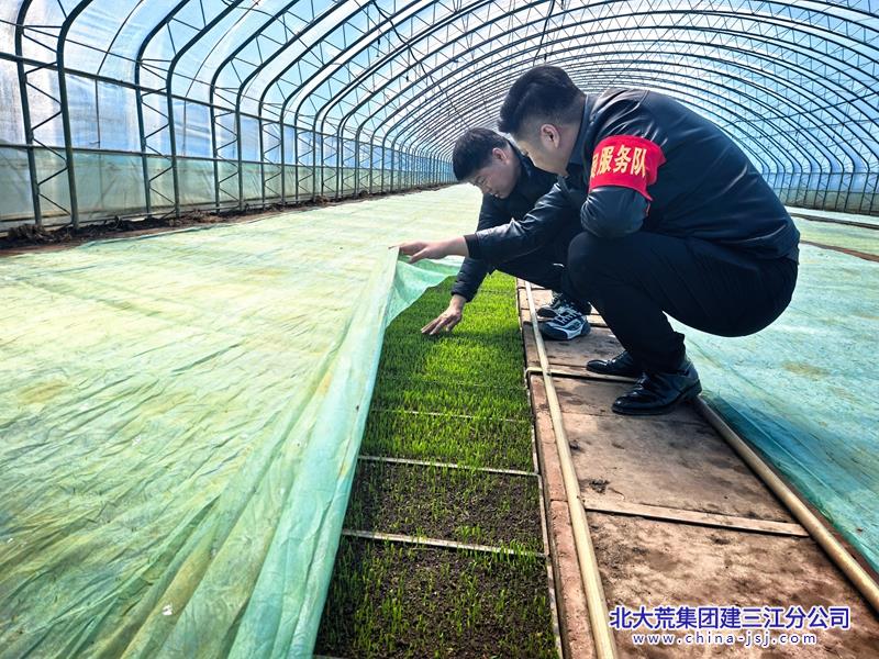 微信图片_20260414142428_784_4.jpg 微信图片_20260414142428_784_4.jpg