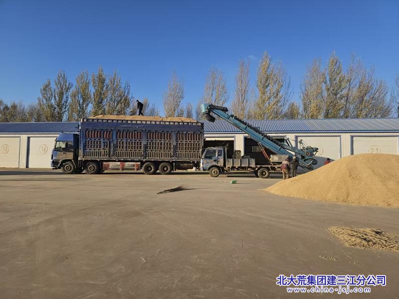 第二管理区新粮“变现”忙 助农销售“加速跑”.jpg