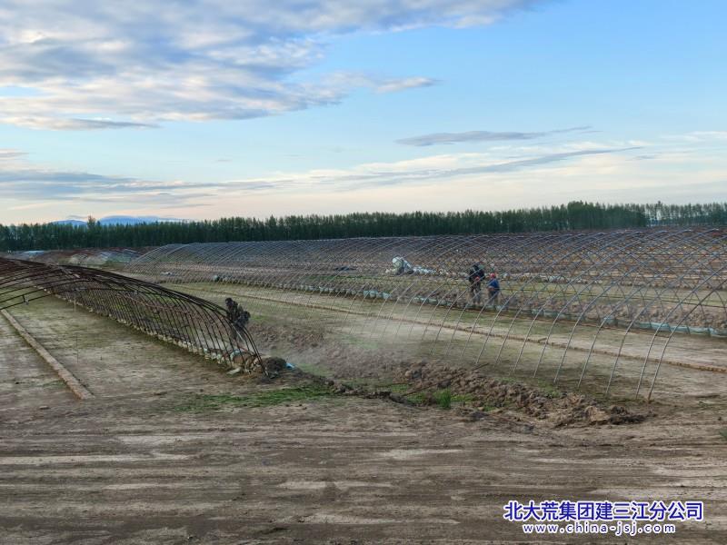 五边环境治理 (800+600) (2).jpg