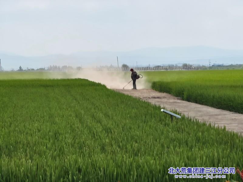 五边环境治理 (800+600) (3).jpg