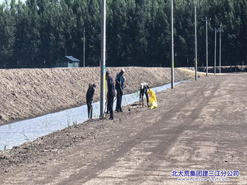五边环境治理 (800+600) (5).jpg