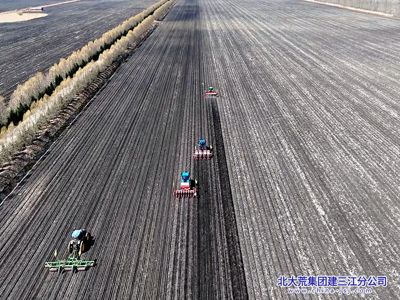 旱田播种现场会1.png