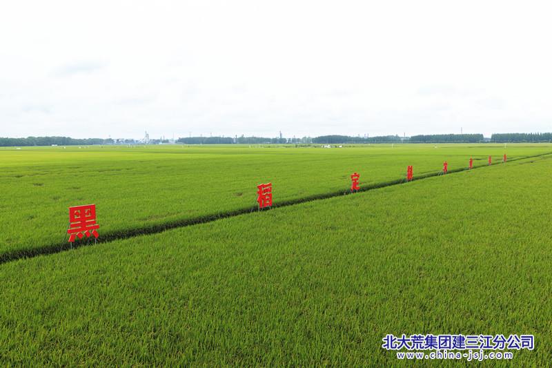 AE99018F17F896DCFABA08031CC58792_副本.jpg