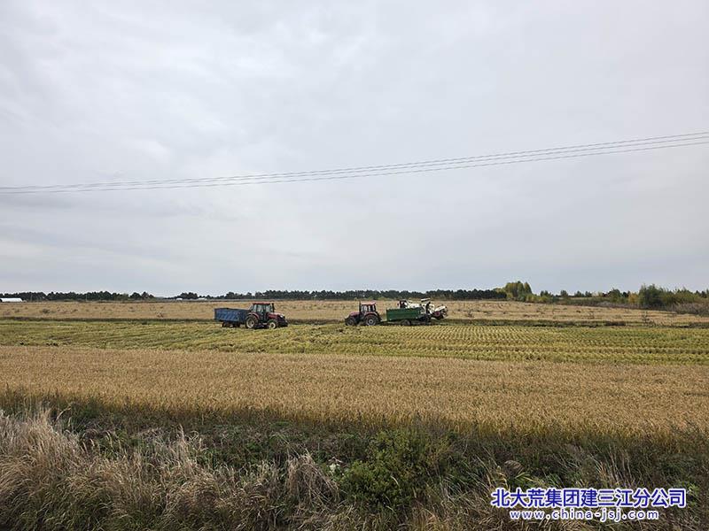 微信图片_20261009084640_81_108.jpg