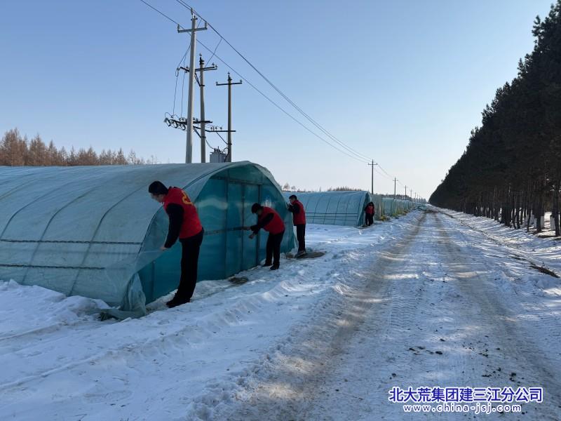 二区学雷锋志愿助春耕 (6).jpg