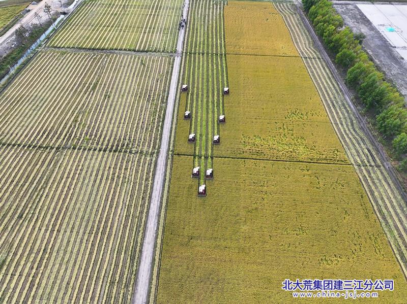 前进农场抢抓晴好天气 全面掀起割晒热潮 摄影 万宝岑.jpg 前进农场抢抓晴好天气 全面掀起割晒热潮 摄影 万宝岑.jpg