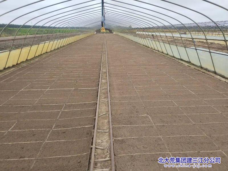 管理区种植户开展秋摆盘作业(摄影 滕志强).jpg 管理区种植户开展秋摆盘作业(摄影 滕志强).jpg