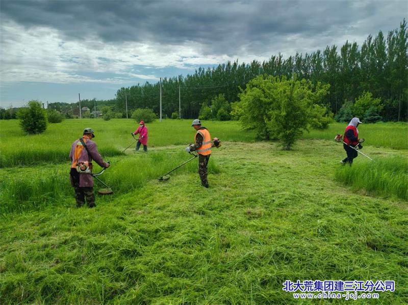 修剪草坪3.jpg 修剪草坪3.jpg