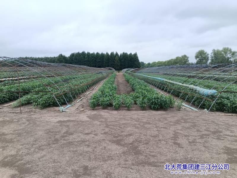 二次利用2.jpg