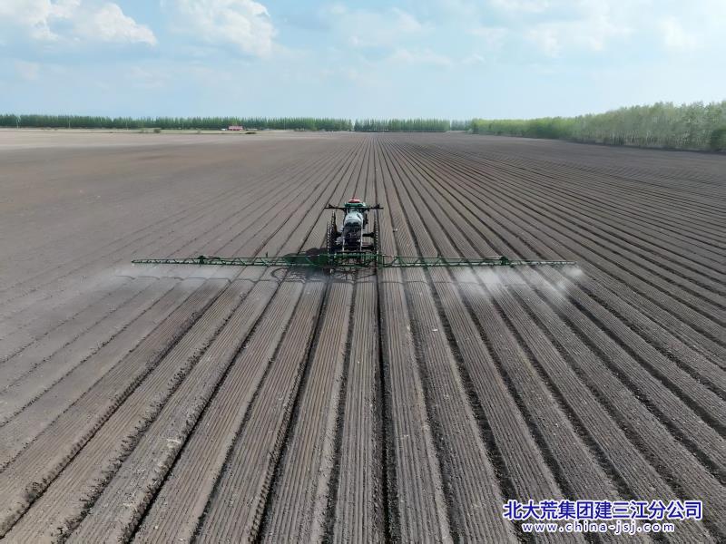 十五区路边沿线大豆示范田苗前封闭除草作业(1).jpg