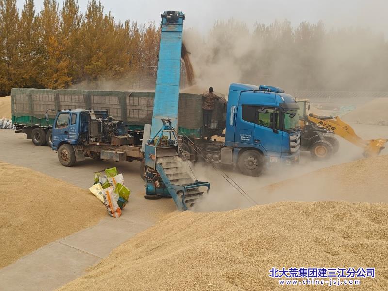 第二管理区新粮销售现场_副本.jpg 第二管理区新粮销售现场_副本.jpg