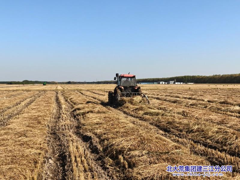 秋收翻铺作业准备拾禾 (1).jpg