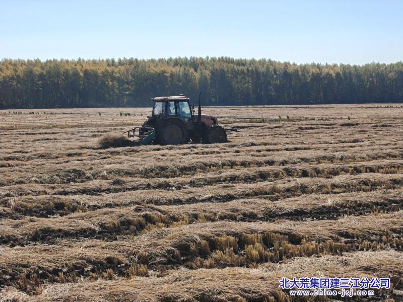 秋收翻铺作业准备拾禾 (2).jpg