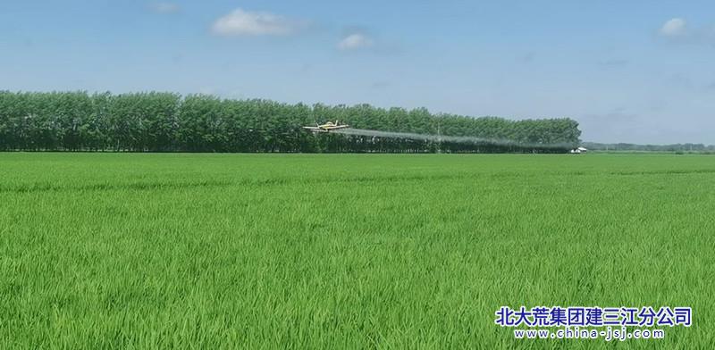 航華.jpg