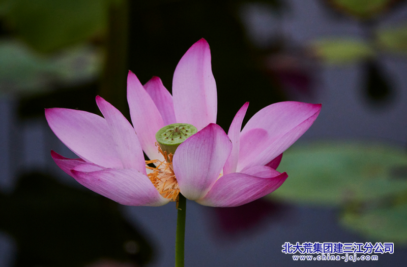 QQ_1779063790318.png