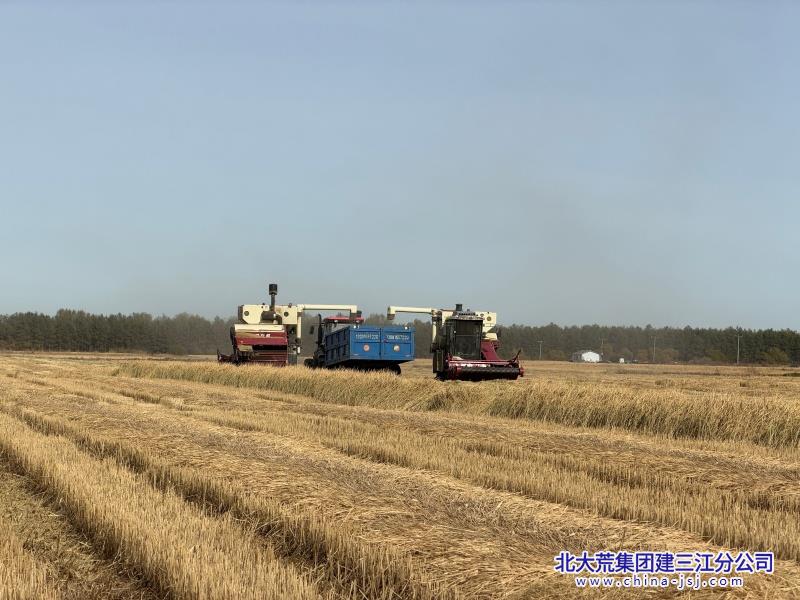 微信图片_20261012085135_105_1455.jpg 微信图片_20261012085135_105_1455.jpg